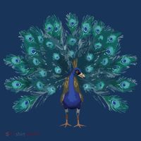 Blue Peacock Print Teal Feathers Bird Lover Men Women Gifts Women's Tank Top thumb 5