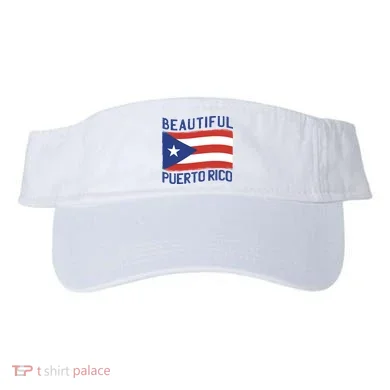 Visor
