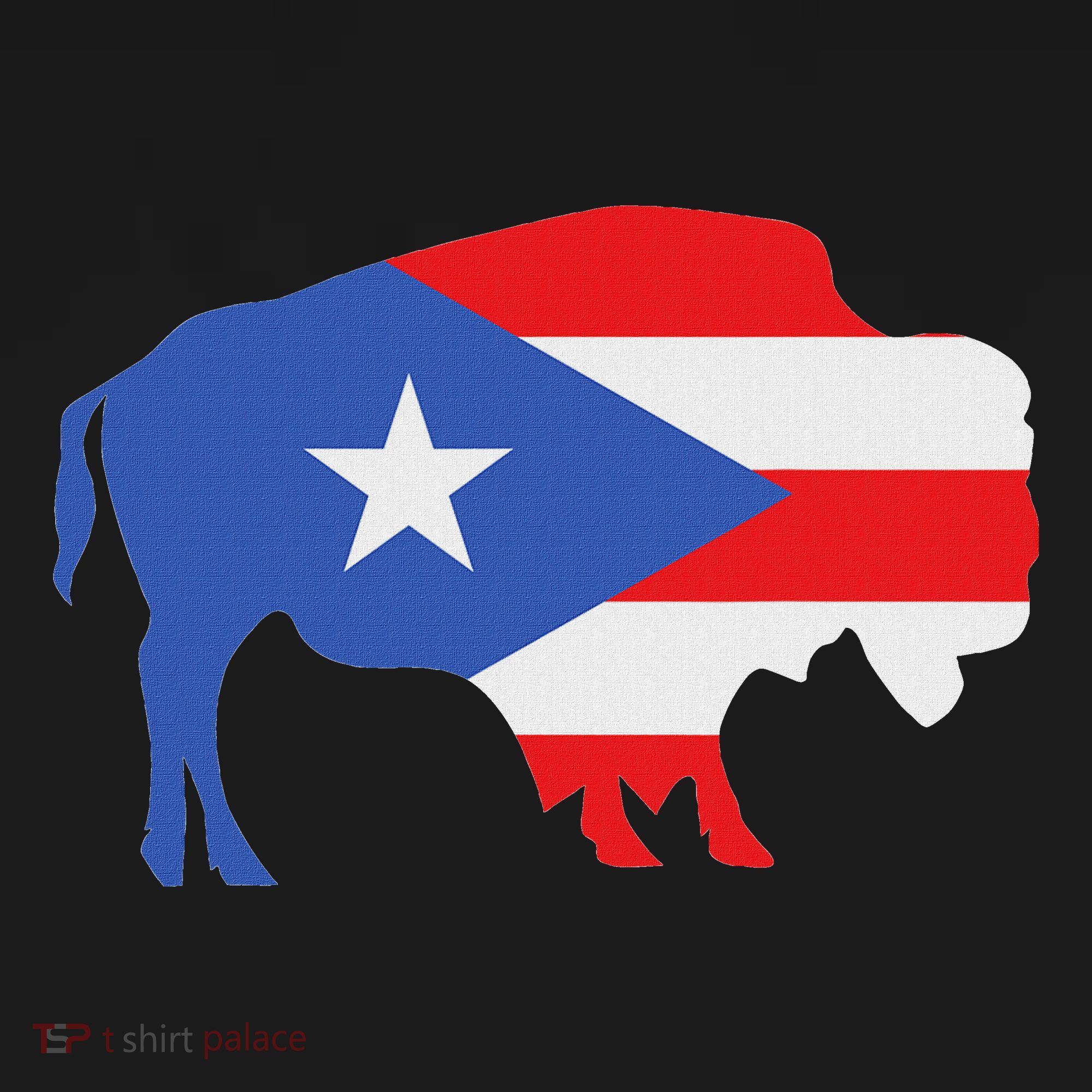 Buffalo Puerto Rico Buffalo New York Puerto Rican Coaster