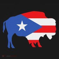 Buffalo Puerto Rico Buffalo New York Puerto Rican Mousepad thumb 1