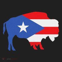 Buffalo Puerto Rico Buffalo New York Puerto Rican Hat thumb 2