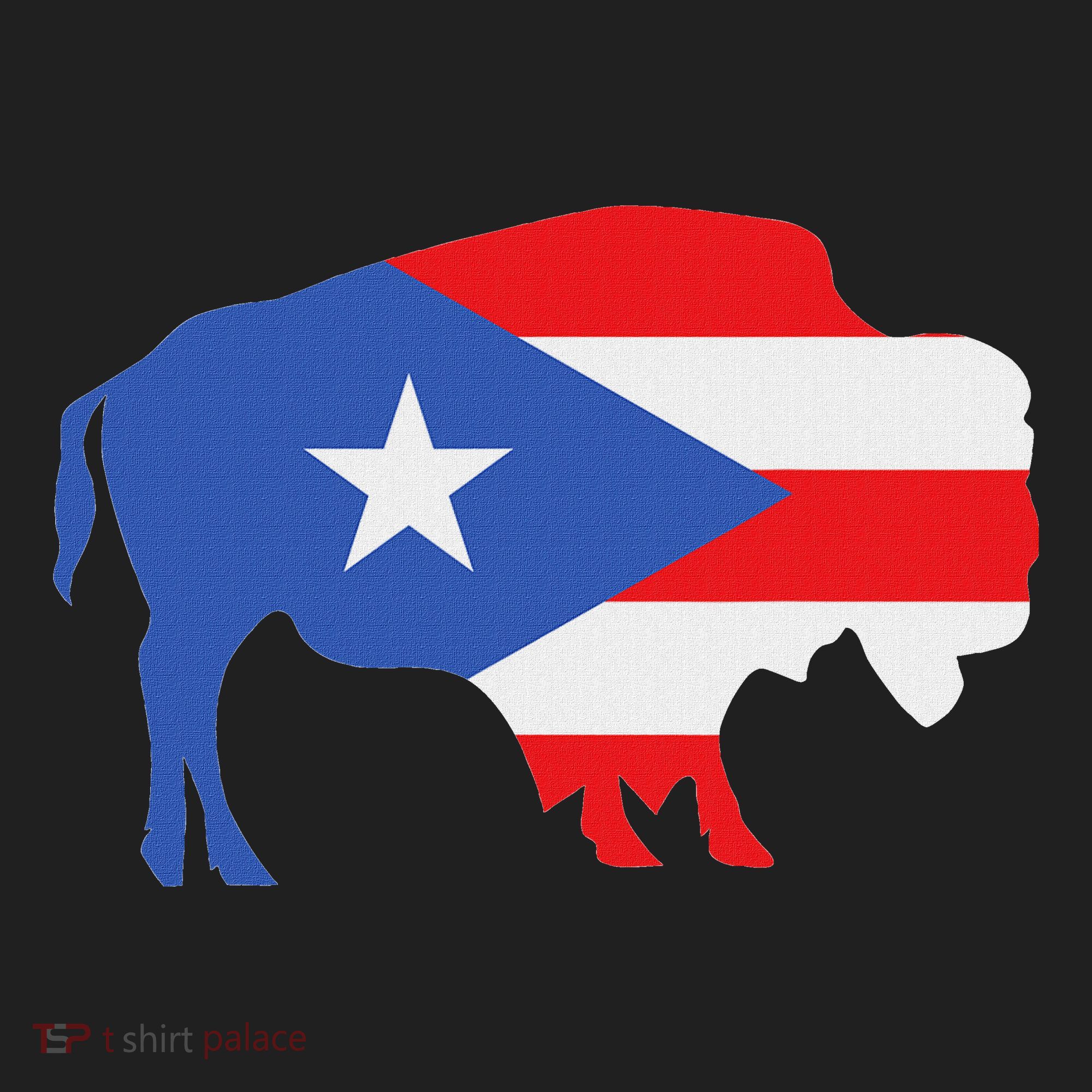 Buffalo Puerto Rico Buffalo New York Puerto Rican Hat