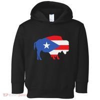 Buffalo Puerto Rico Buffalo New York Puerto Rican Toddler Hoodie thumb 0