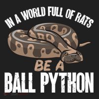 Ball Python Snake Be A Ball Python Cute Gift Women's Sweatshirt thumb 2
