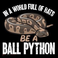 Ball Python Snake Be A Ball Python Cute Gift Backpack thumb 2