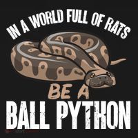 Ball Python Snake Be A Ball Python Cute Gift Pajama Set thumb 2
