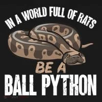 Ball Python Snake Be A Ball Python Cute Gift Pajama Set thumb 2