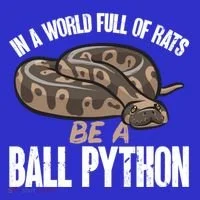 Ball Python Snake Be A Ball Python Cute Gift Sweatshirt thumb 3