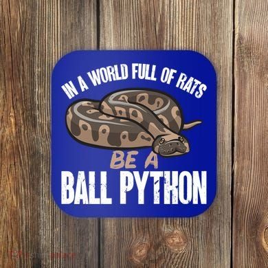 Ball Python Snake Be A Ball Python Cute Gift Coaster