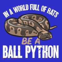 Ball Python Snake Be A Ball Python Cute Gift Kids Long Sleeve Shirt thumb 2
