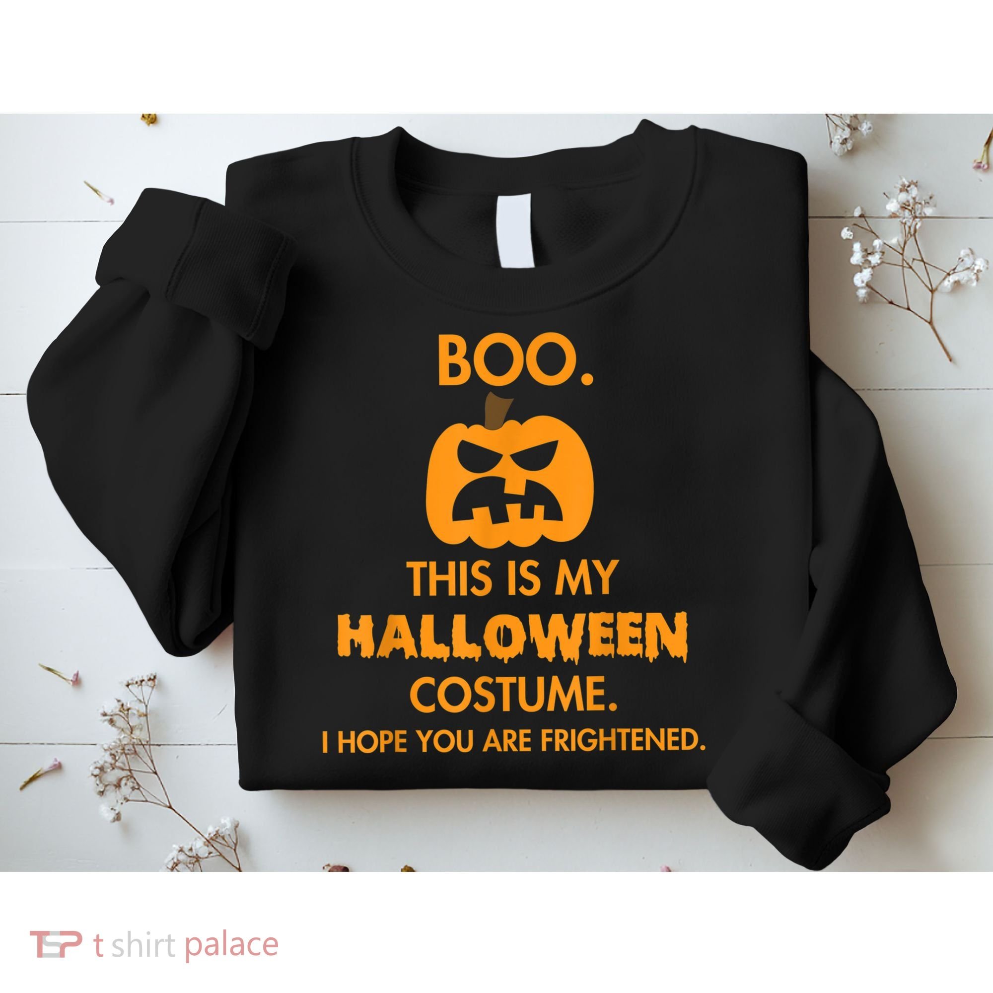Boo Pumpkin Sarcastic Funny Halloween Costume Sweatshirt