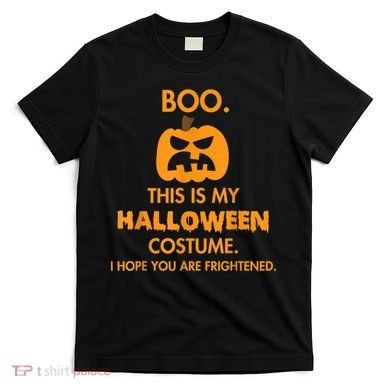 Boo Pumpkin Sarcastic Funny Halloween Costume T-Shirt