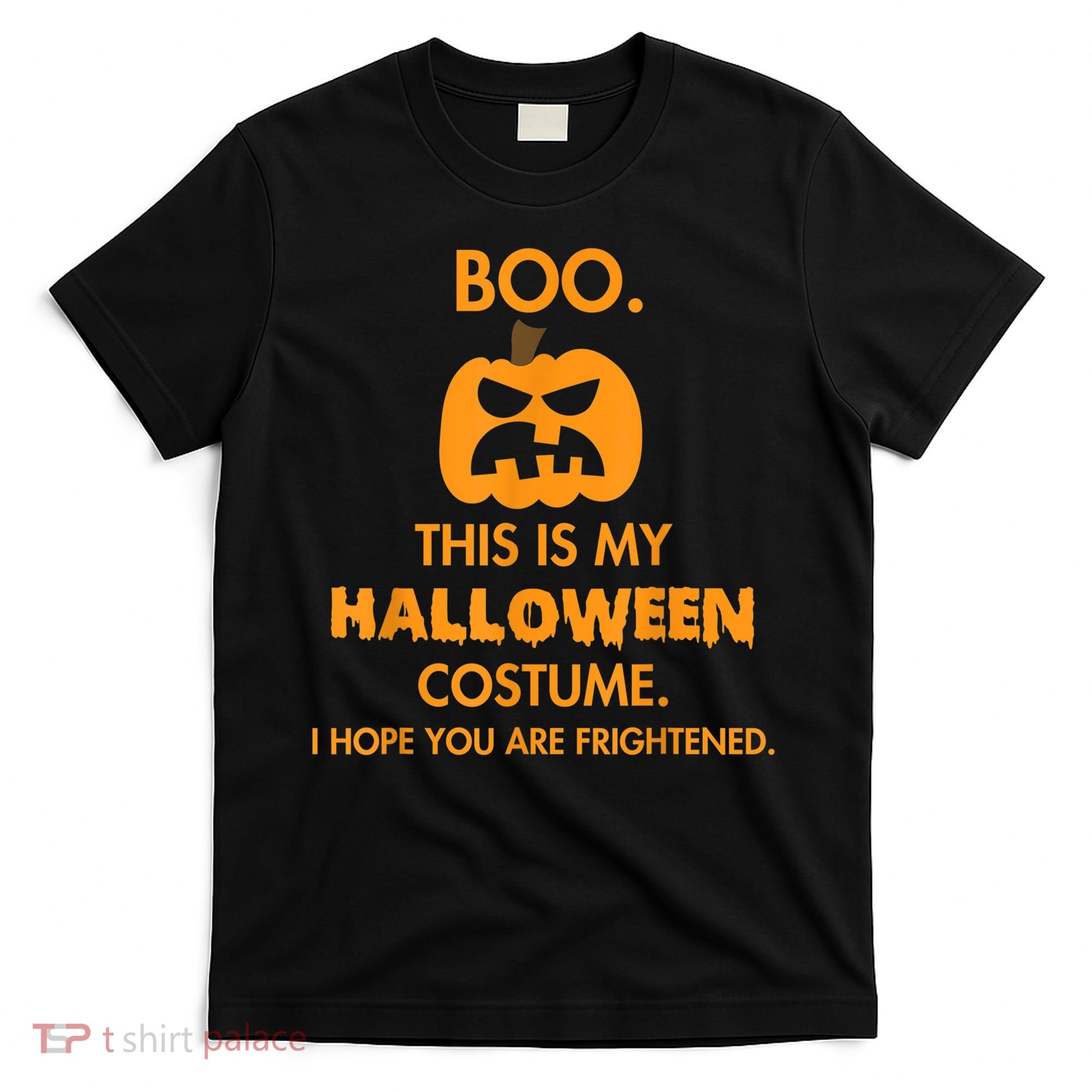 Boo Pumpkin Sarcastic Funny Halloween Costume T-Shirt