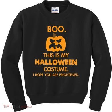 Boo Pumpkin Sarcastic Funny Halloween Costume Kids Sweatshirt