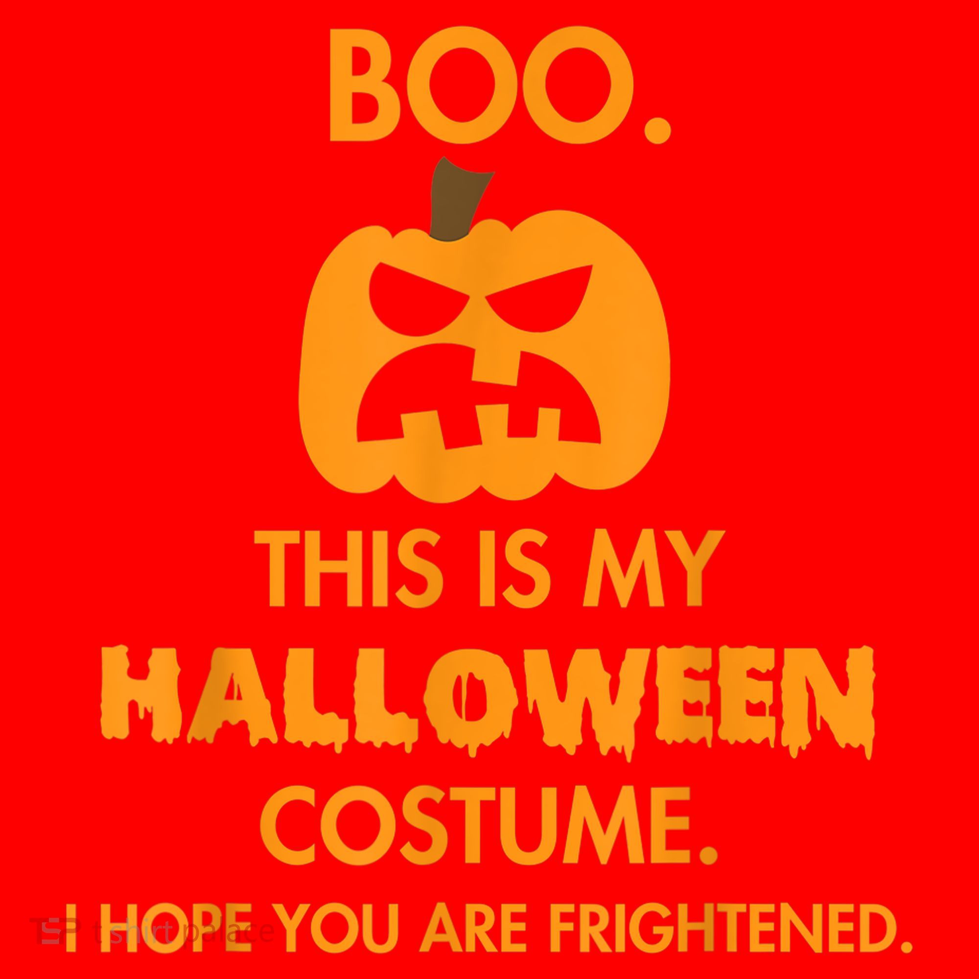 Boo Pumpkin Sarcastic Funny Halloween Costume Santa Hat
