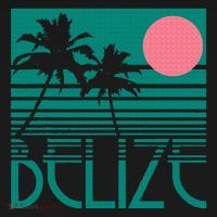 Belize Palm Trees Surf Vintage Retro Souvenir T-Shirt thumb 7
