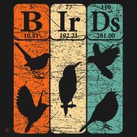 Birds Periodic Table Elements Birdwatching Ornithology Women's Hoodie thumb 2
