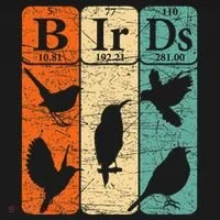 Birds Periodic Table Elements Birdwatching Ornithology Toddler Hoodie thumb 2