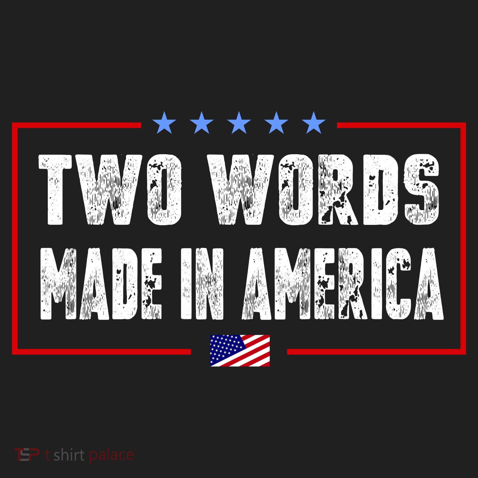 BIDEN QUOTE Two Words, Made In America Beanie