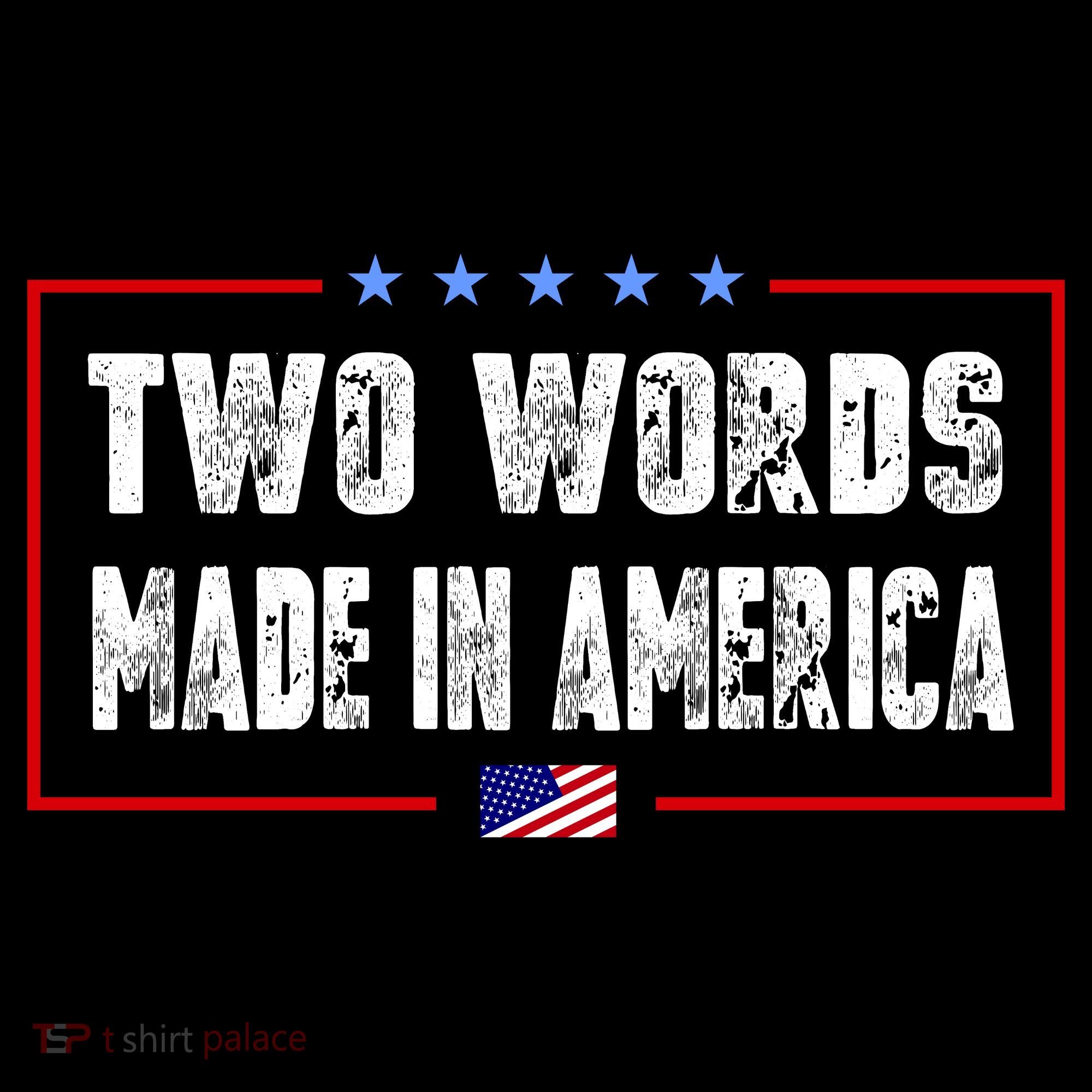 BIDEN QUOTE Two Words, Made In America Women's Hoodie
