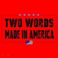 BIDEN QUOTE Two Words, Made In America Santa Hat thumb 1