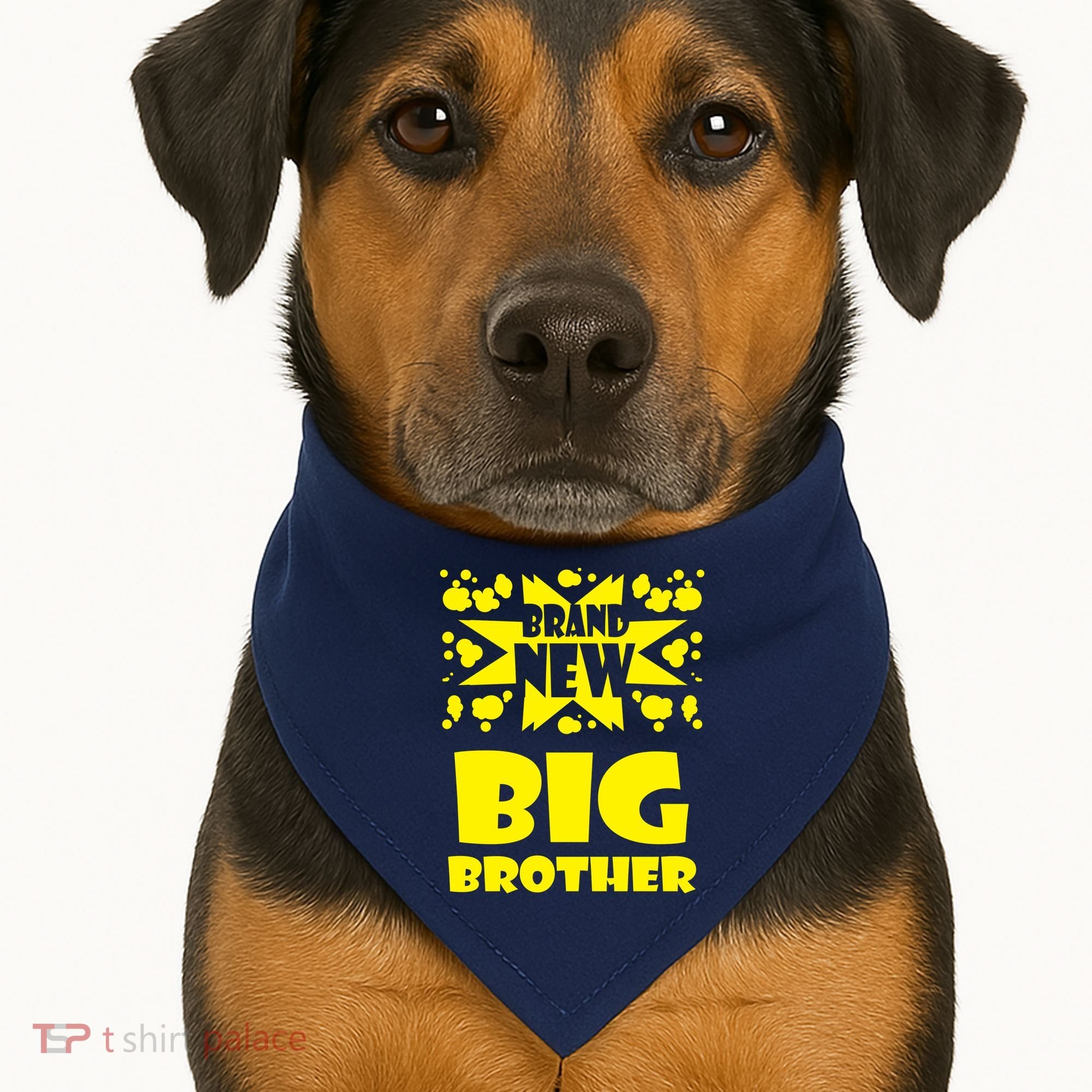 Brand New Big Brother USA-Made Doggie Bandana