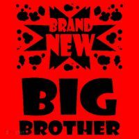 Brand New Big Brother Santa Hat thumb 1