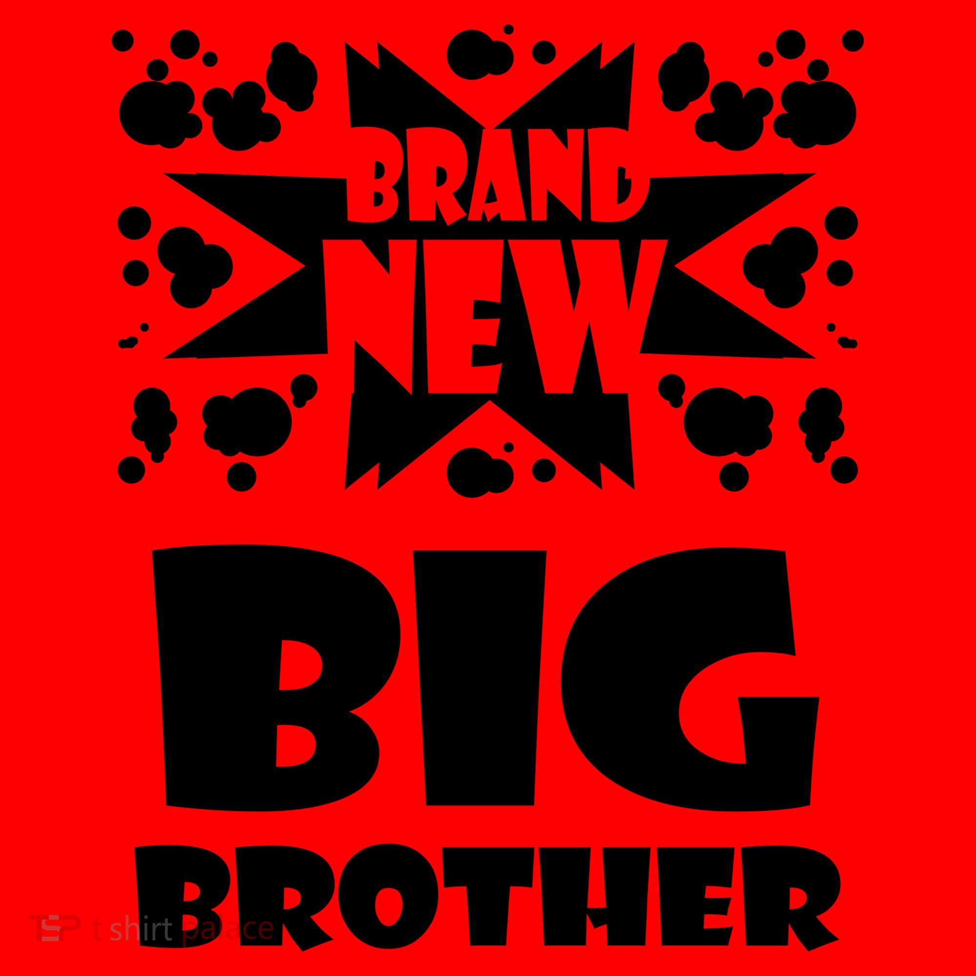 Brand New Big Brother Santa Hat