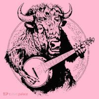 Buffalo Retro Bison Animal Playing Banjo Music Graphic Coaster thumb 2