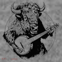 Buffalo Retro Bison Animal Playing Banjo Music Graphic Toddler Hoodie thumb 2