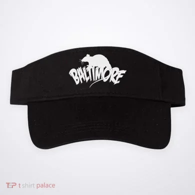 Visor