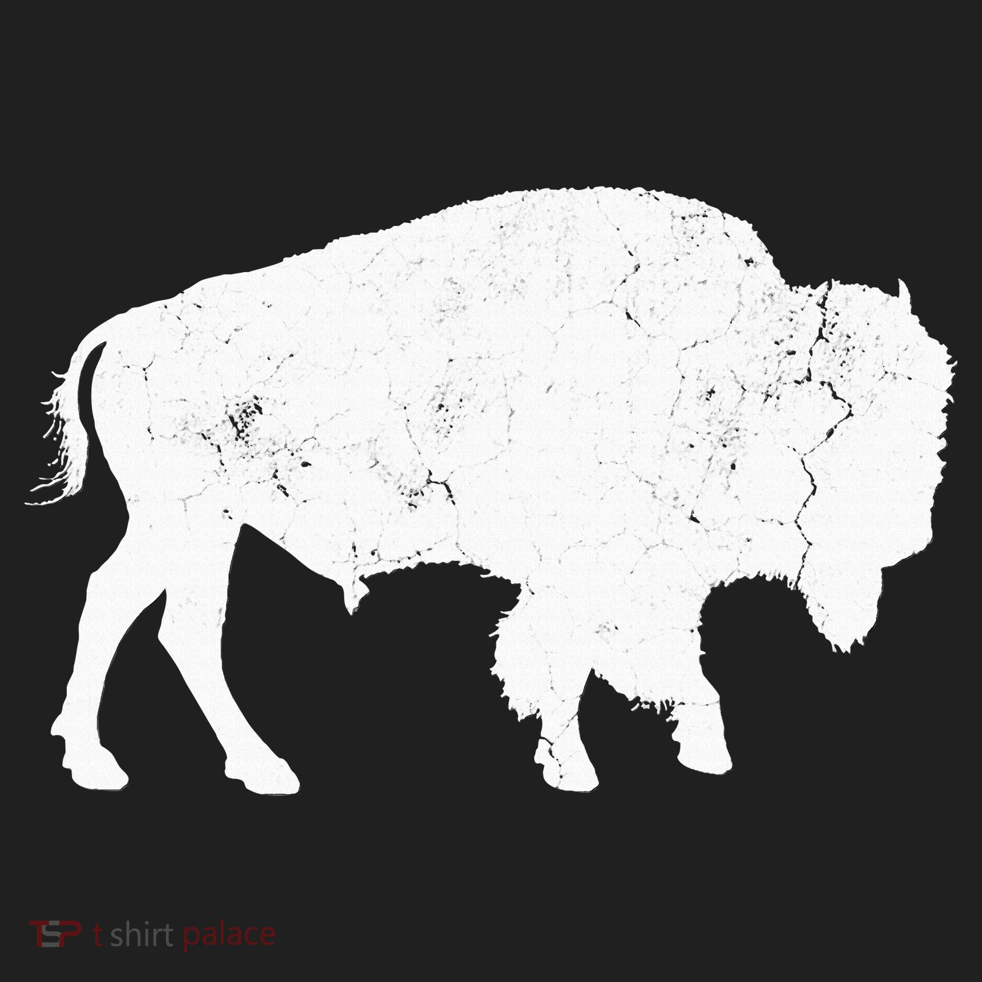 Buffalo Retro Bison Animal Lover Beanie