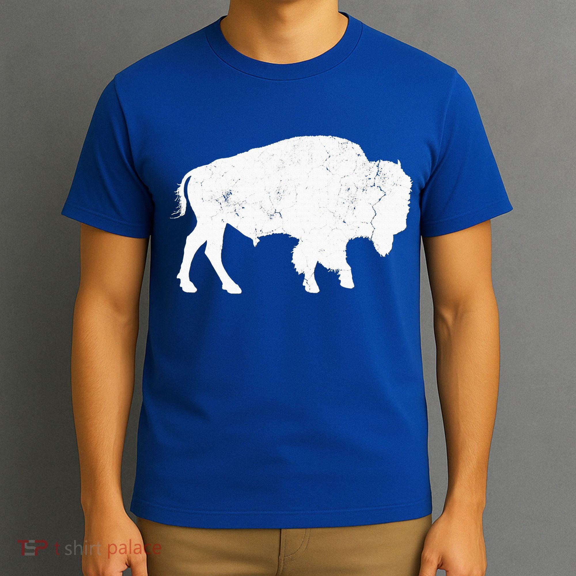 Buffalo Retro Bison Animal Lover T-Shirt