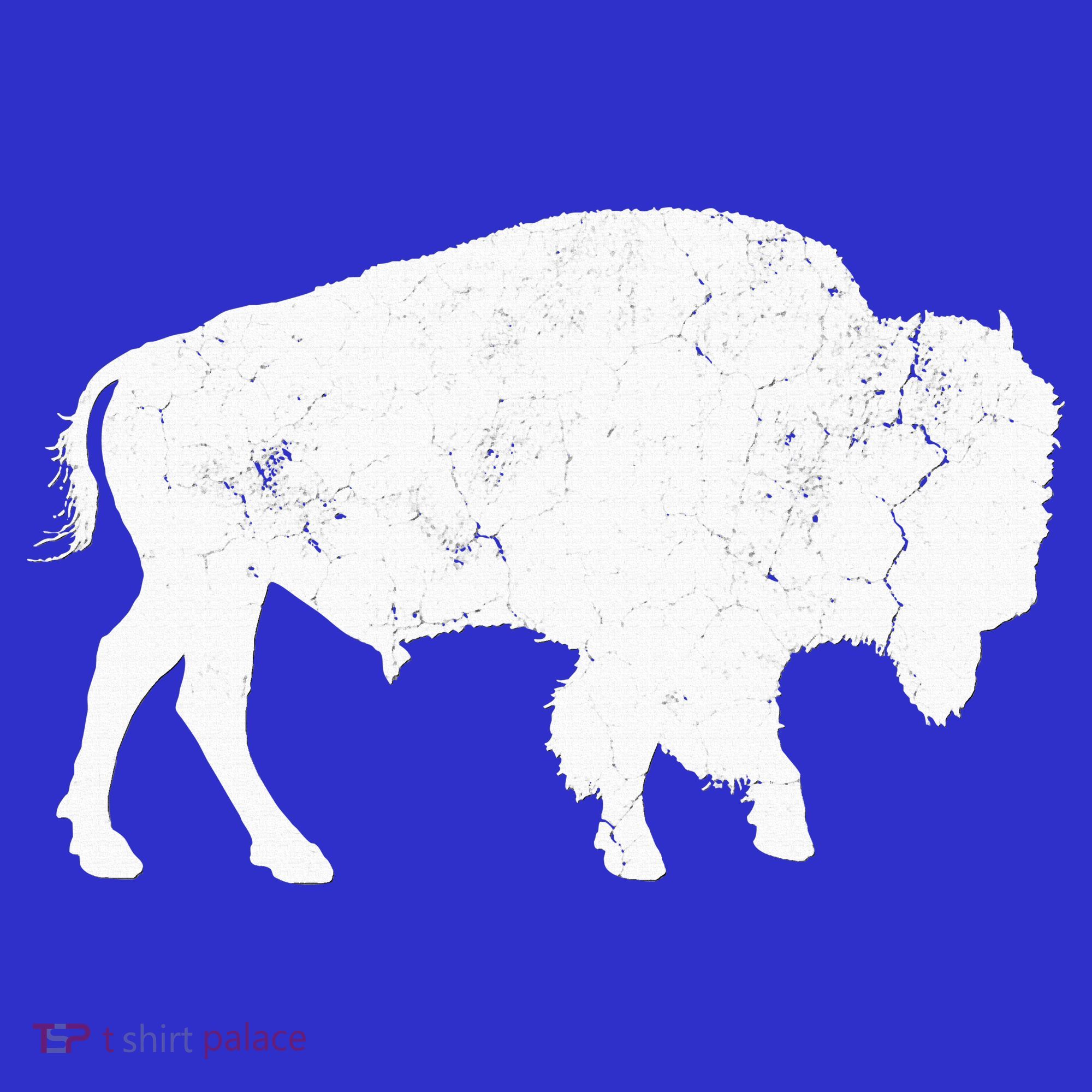 Buffalo Retro Bison Animal Lover Visor