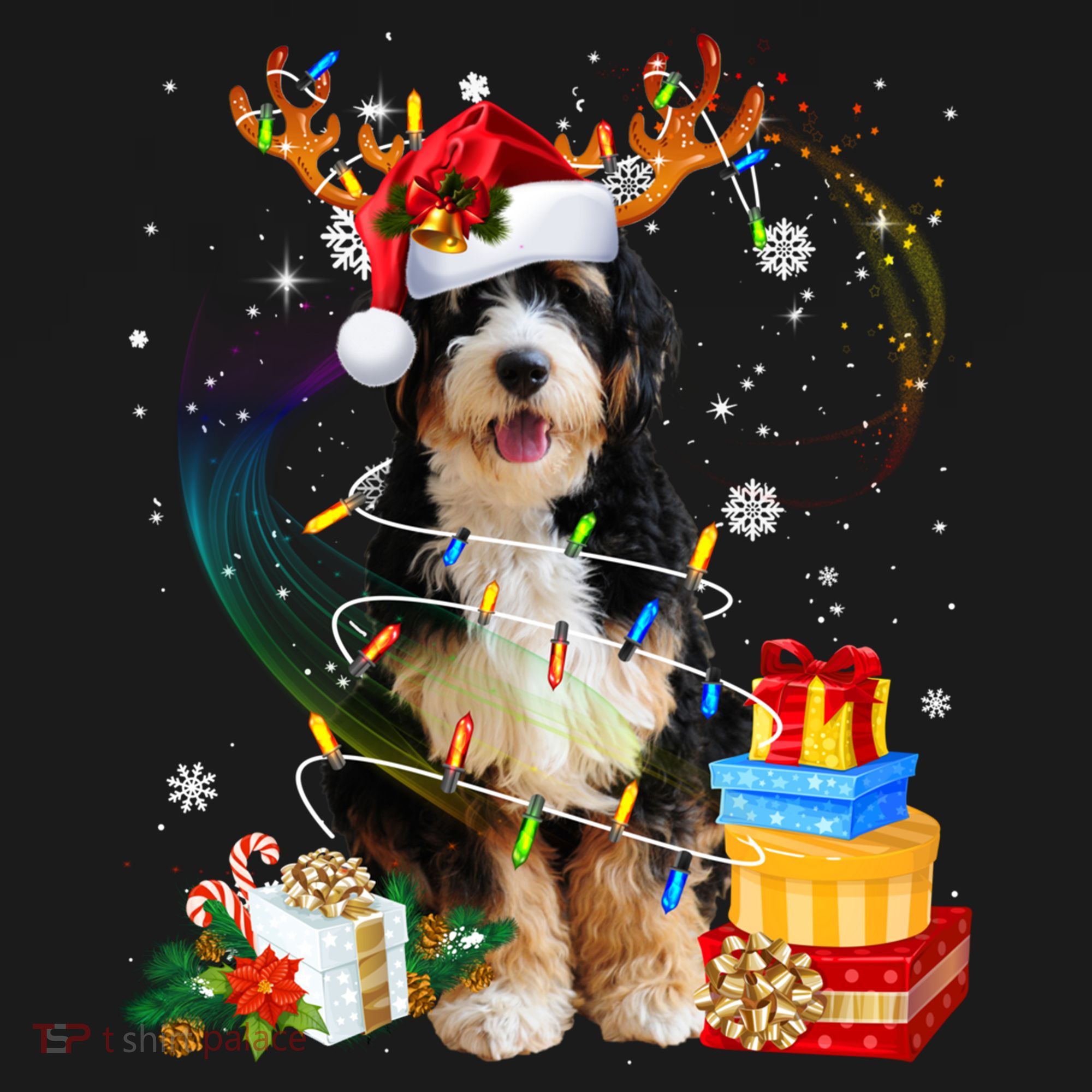 Bernedoodle Reindeer Christmas Lights Funny Dog Xmas Gift Cool Gift Women's Hoodie