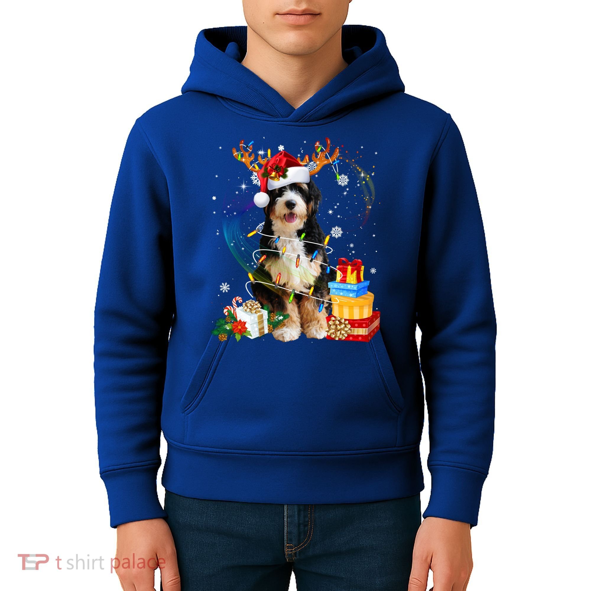 Bernedoodle Reindeer Christmas Lights Funny Dog Xmas Gift Cool Gift Kids Hoodie