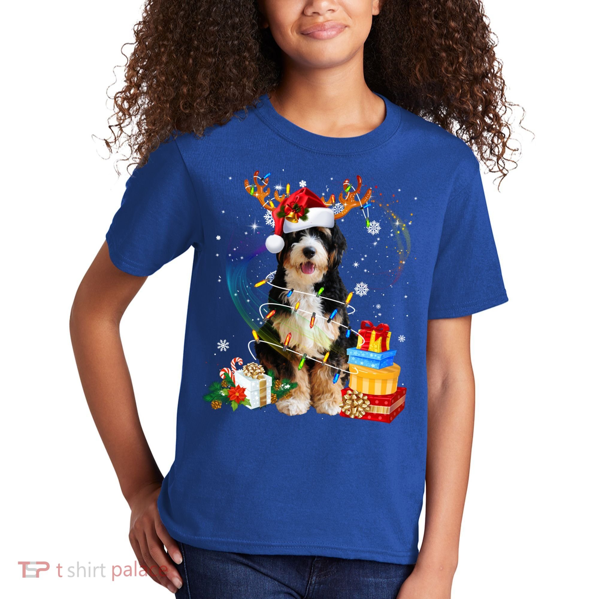 Bernedoodle Reindeer Christmas Lights Funny Dog Xmas Gift Cool Gift Kids T-Shirt
