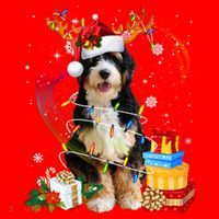 Bernedoodle Reindeer Christmas Lights Funny Dog Xmas Gift Cool Gift Santa Hat thumb 1