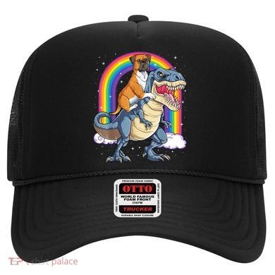 Boxer Riding Dinosaur T Rex Dog Lover Boys Kids Rainbow Hat