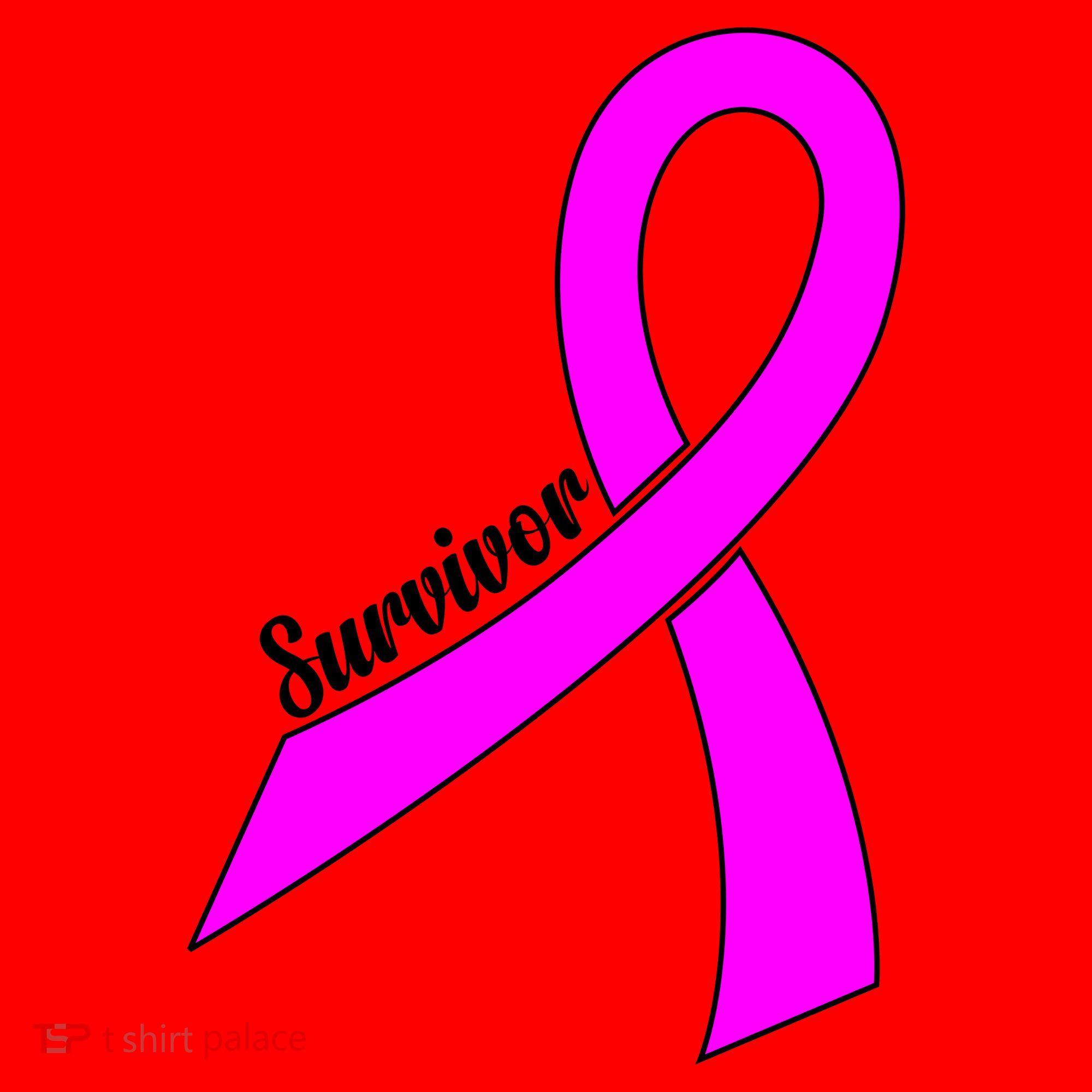 Breast Cancer Survivor Santa Hat