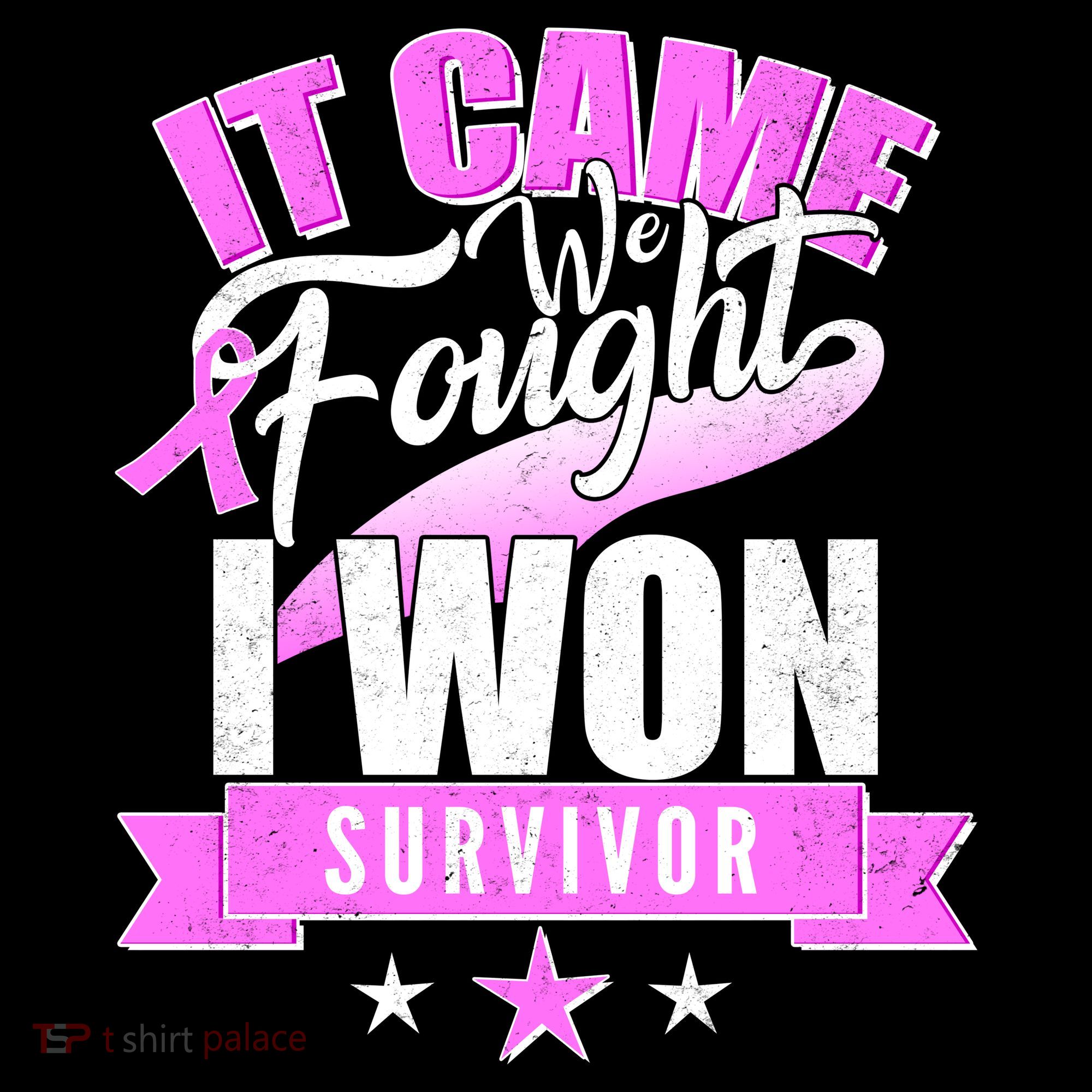 Breast Cancer Survivor It Came We Fought I Won Women's Hoodie