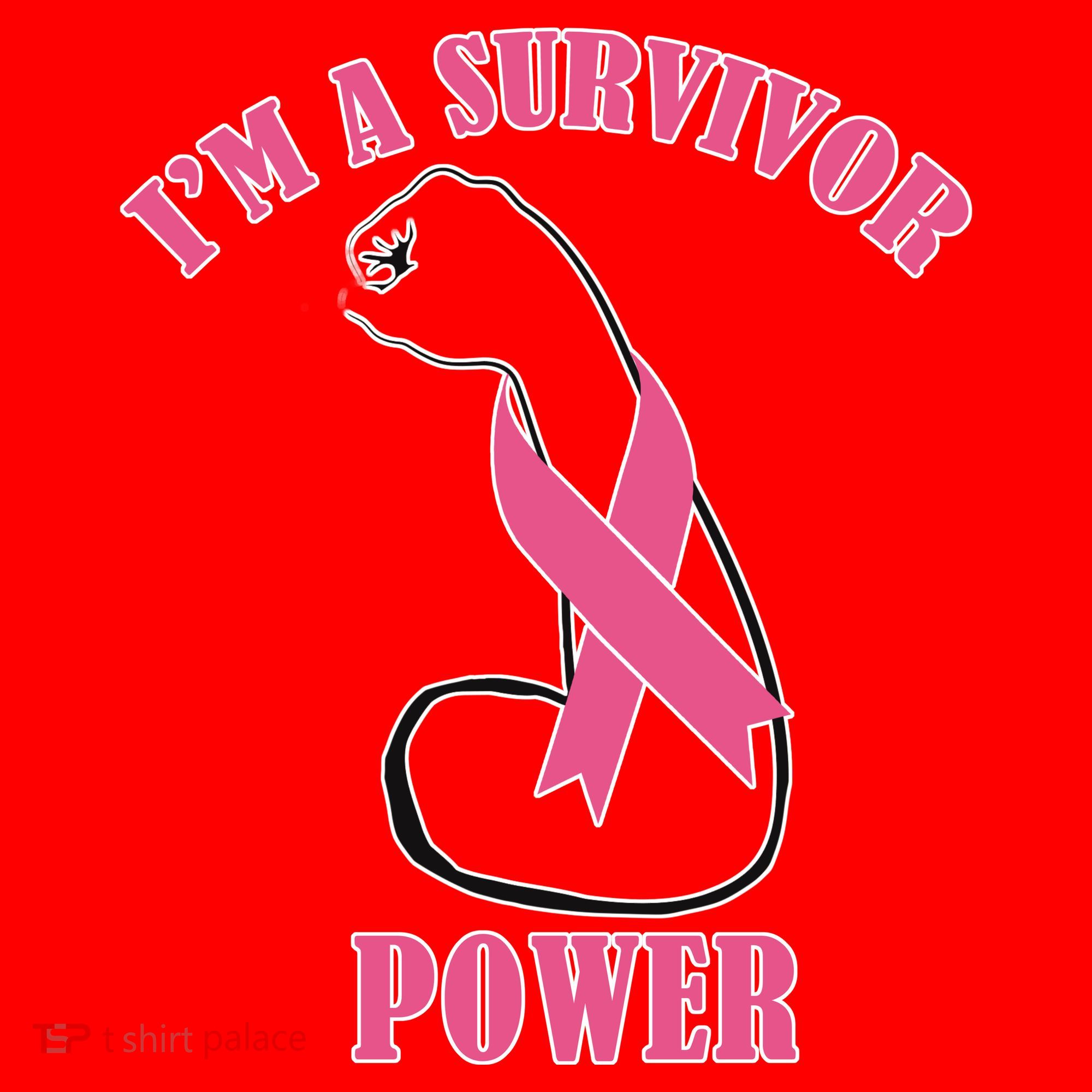 Breast Cancer Survivor Power Santa Hat