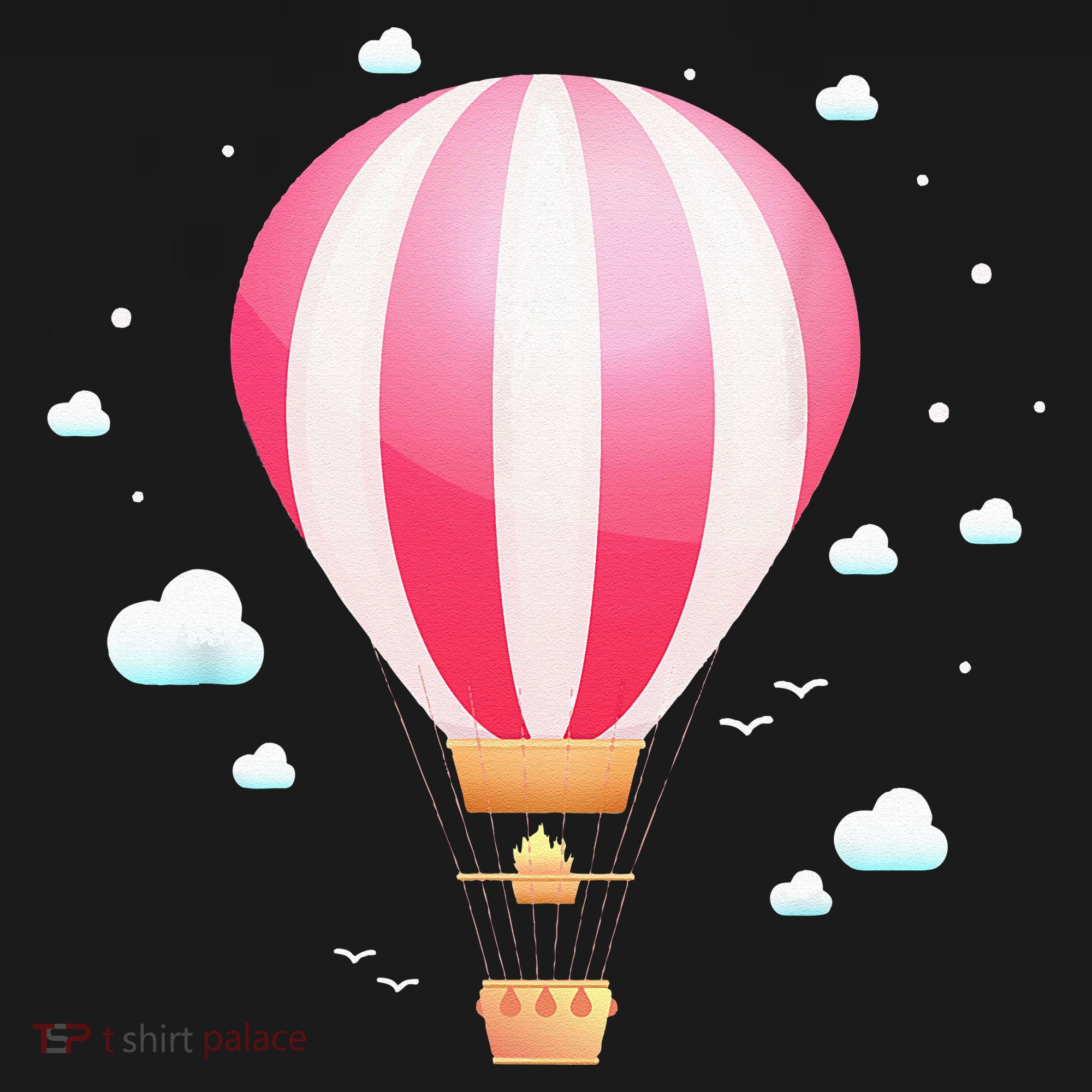 Balloon Ride Festival Hot Air Balloon Pilot Hot Air Balloon T-Shirt