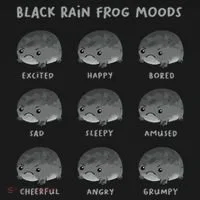 Black Rain Frog Moods Grumpy Black Desert Rain Frog Women's Hoodie thumb 2