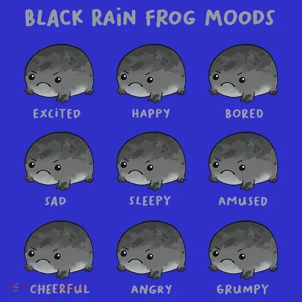 Black Rain Frog Moods Grumpy Black Desert Rain Frog Toddler T-Shirt