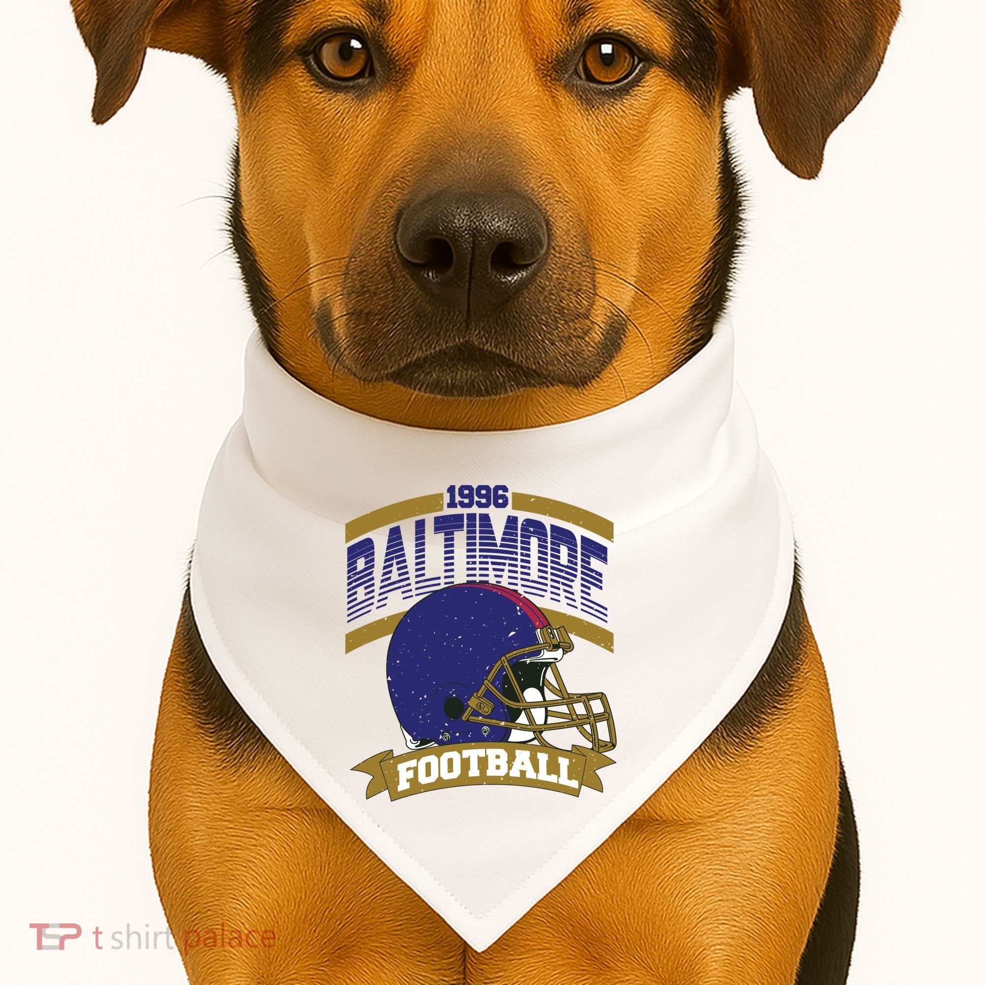Baltimore Raven Football Team Supporter USA-Made Doggie Bandana