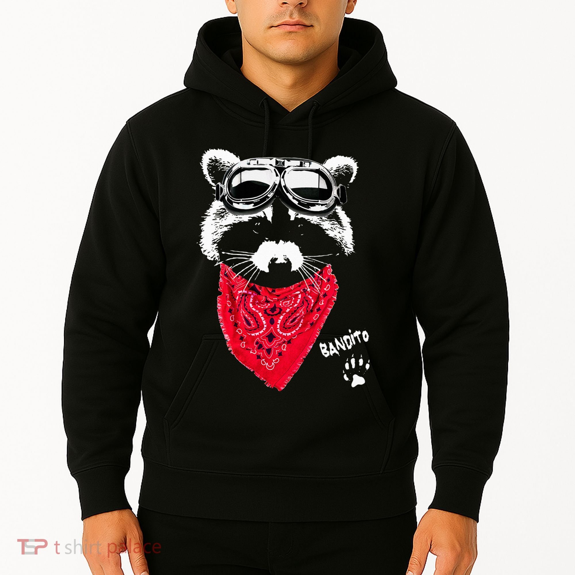 Bandito Raccoon In Red Scarf And Goggles Hoodie
