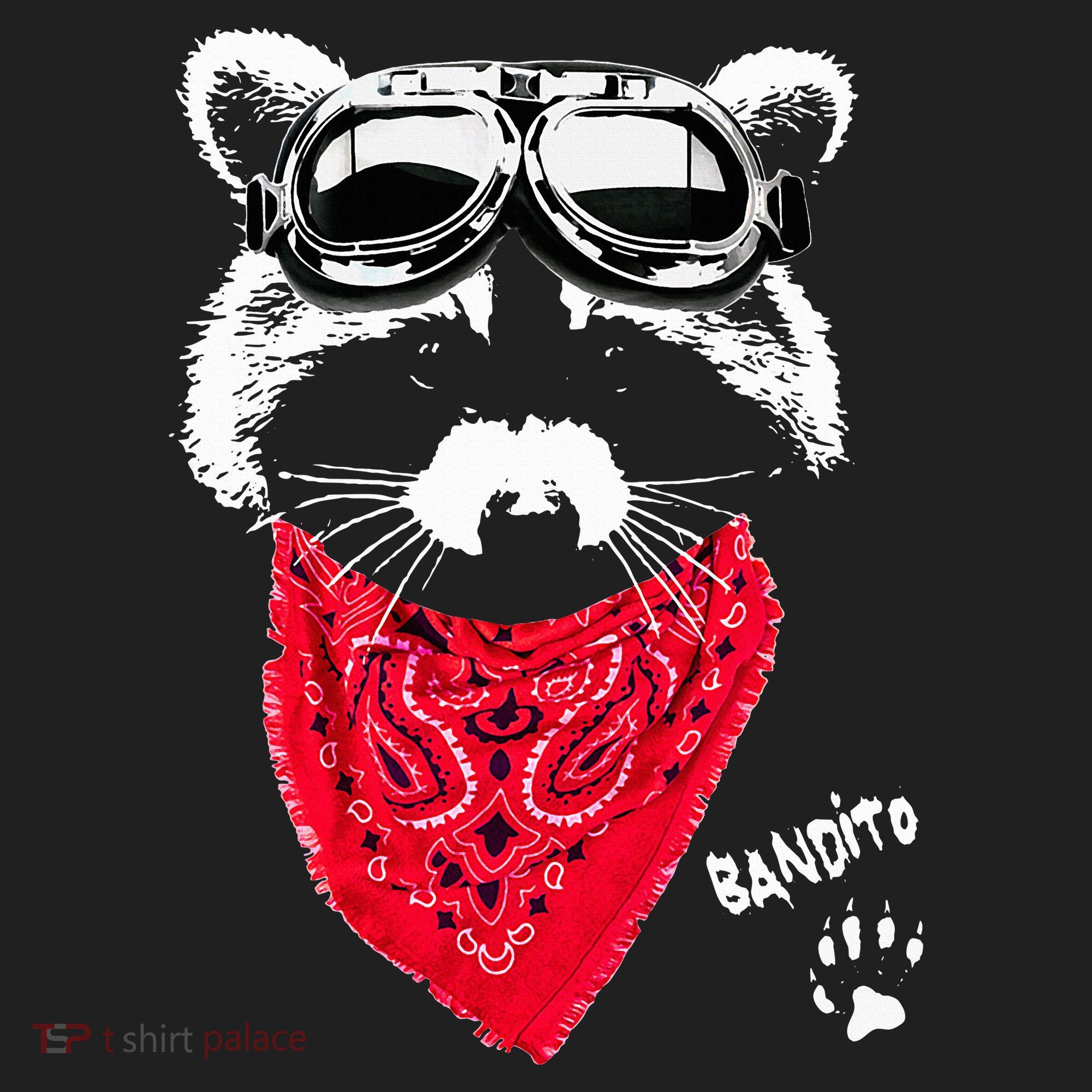 Bandito Raccoon In Red Scarf And Goggles Beanie