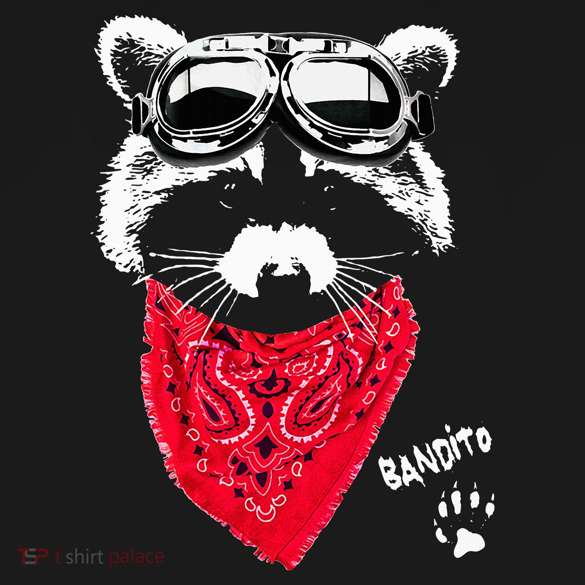 Bandito Raccoon In Red Scarf And Goggles Women's Hoodie