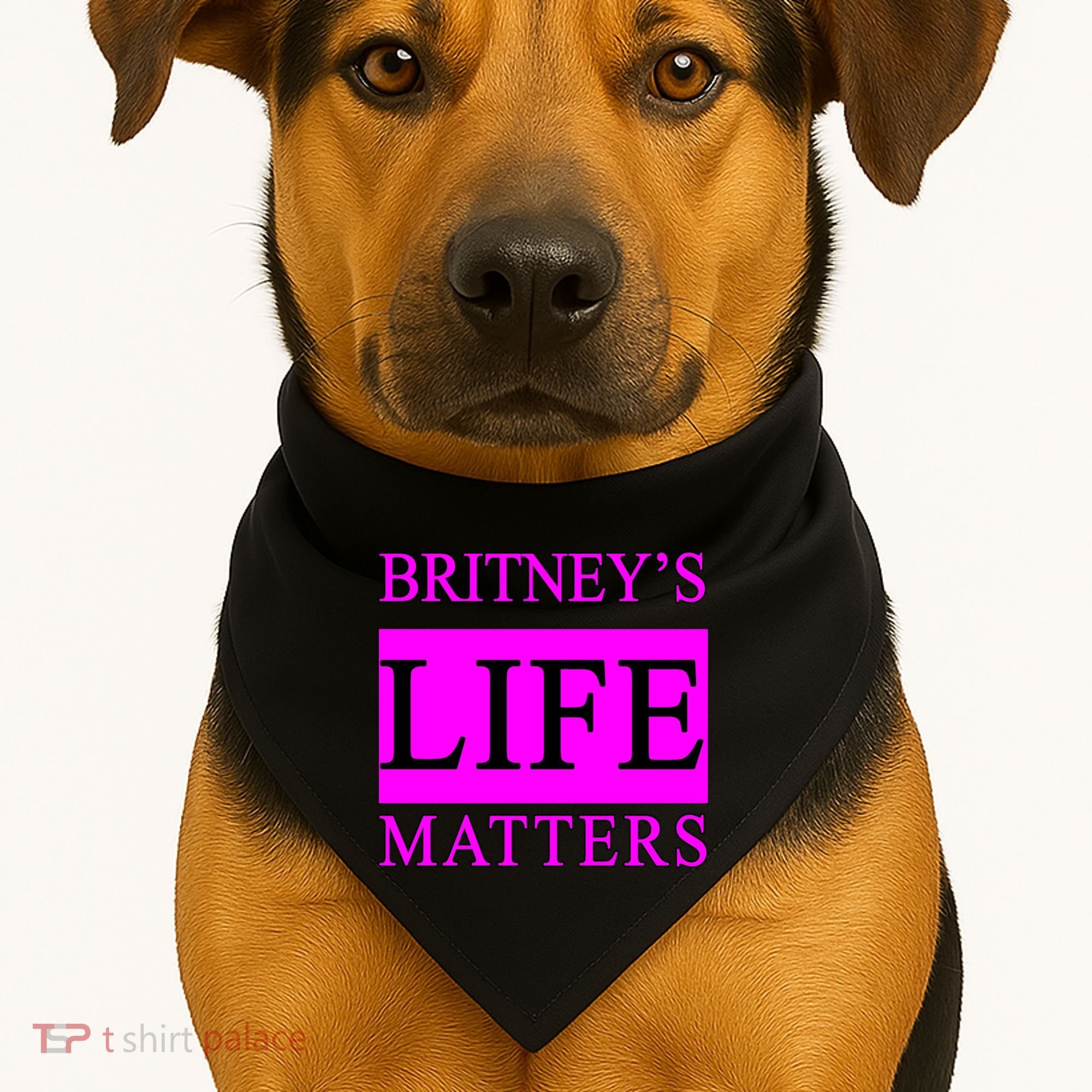 Britney's Life Matters BLM Free Britney USA-Made Doggie Bandana